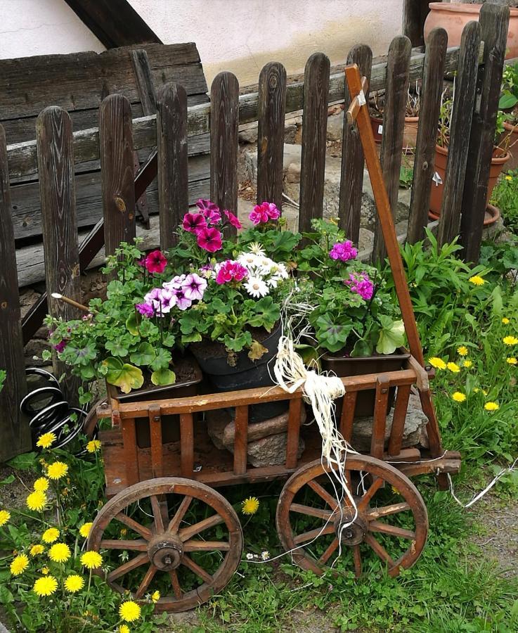 Elbhangzimmer Dresden Dış mekan fotoğraf
